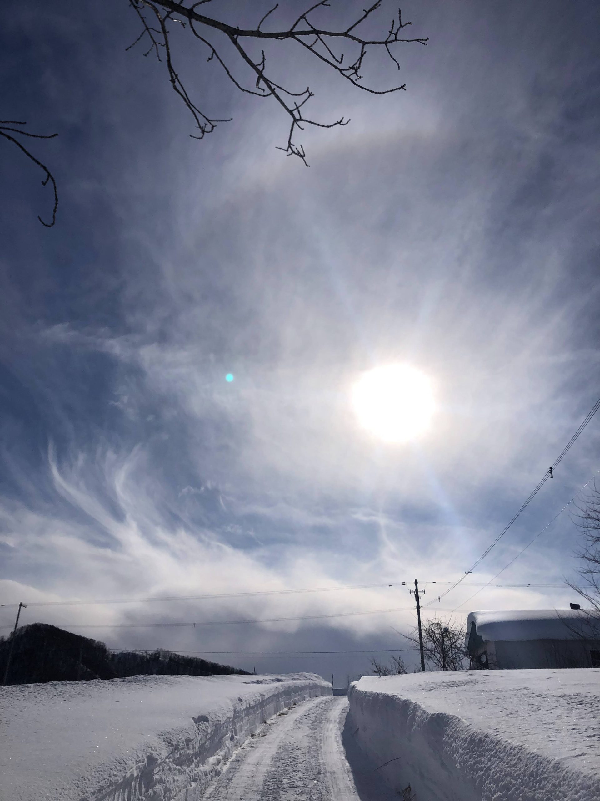 今年の雪は多かった